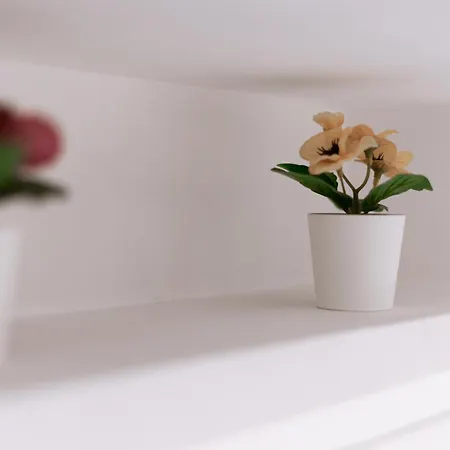 Casetta 46 Prázdninový dům